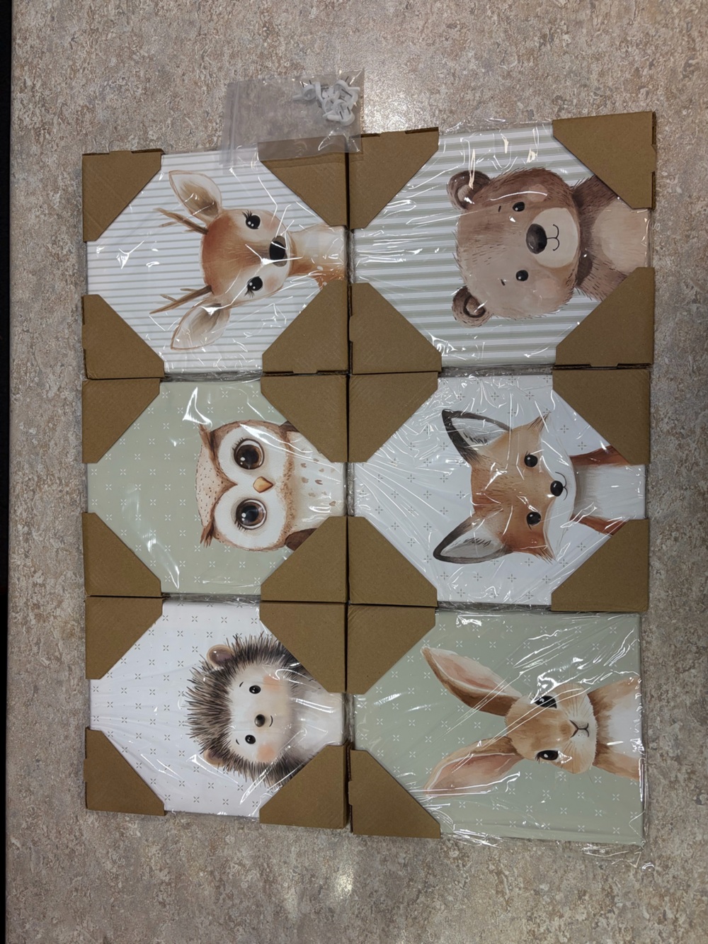Woodland Animals Canvas Pictures